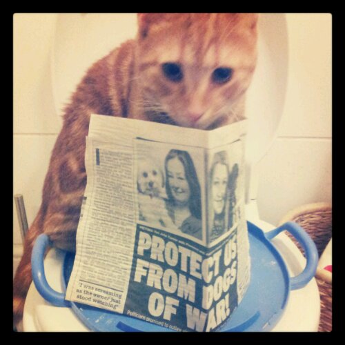 IMG_20121021_205125.jpg image