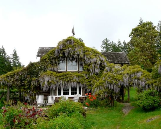 Eco-Fascism and Hippies at Lasqueti! hahaha.