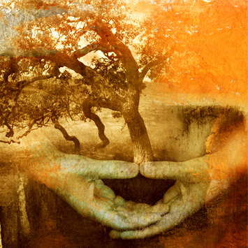 IWS 2013d http://inspiringwomensummit.com