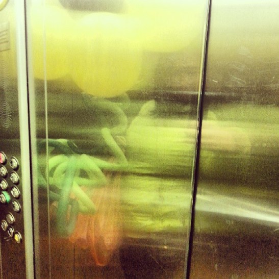 (c) cecilia yu com 2