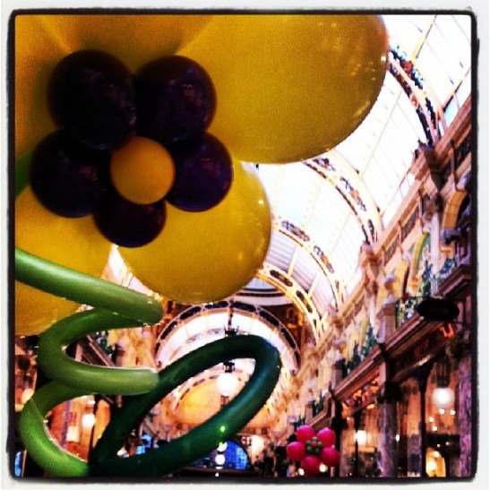 (c) cecilia yu com 5