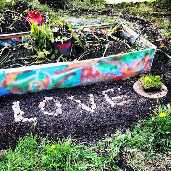 "Love  for Asbo kids to steal" urban garden (c) cecilia yu com , 2013