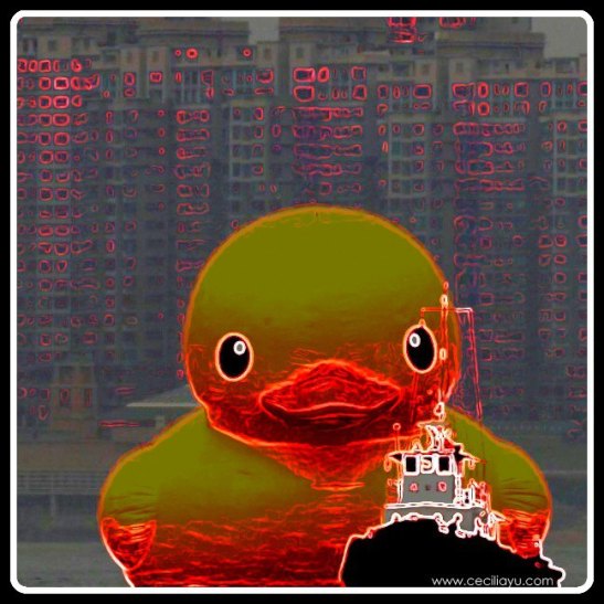 rubber duck