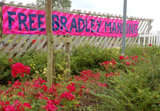 08-free-brad-pink-flowers