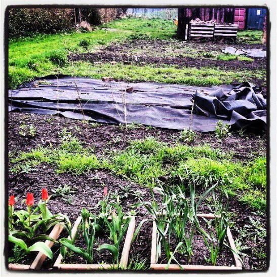 945053_578517128847575_364082746_n