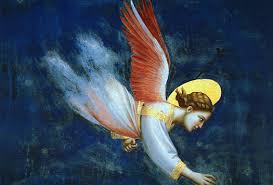 giotto angel