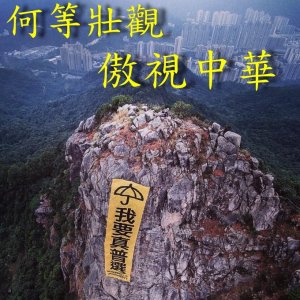 lions peak protest 2014 hong kong4