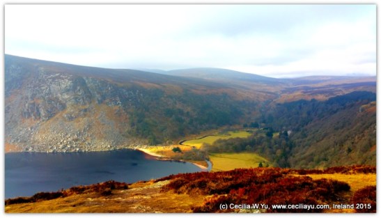 02-2015-02-14 14.01.13