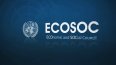 ecosoc logo