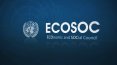 ecosoc-logo