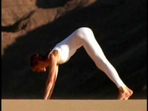 98130099_10163684861315207_3551454589582573568_n