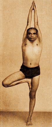 Vrikshasana Iyengar